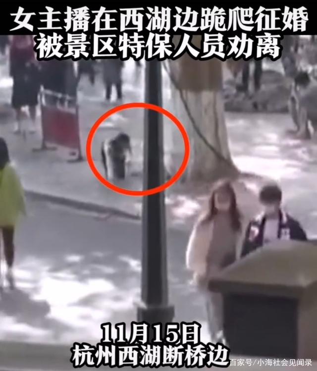 女主播为吸粉下跪绕圈，举牌“征婚”，嘴里还叼着一只鞋.jpeg