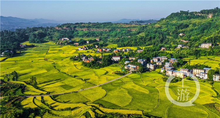 梁平：农旅融合乡村美(3415709)-20190927083108.jpg