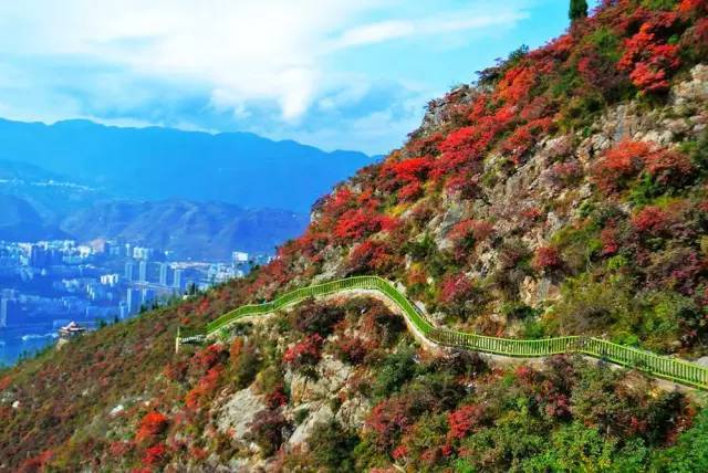 巫山 正是漫山红叶时 一半神话一半仙境 上游新闻汇聚向上的力量