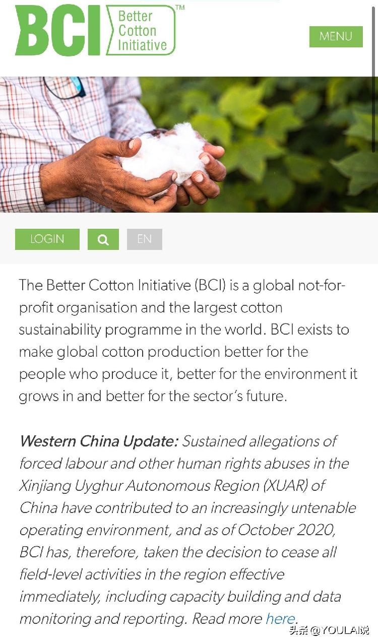 制裁新疆棉花的BCI，究竟是个什么样的组织？