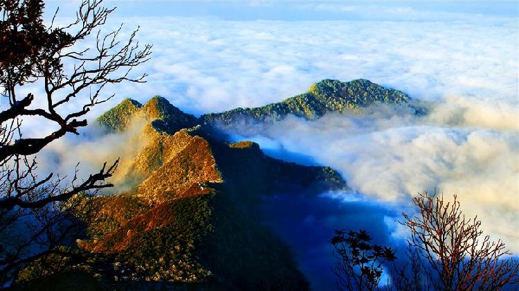 上游互动丨头条大赛(第9季)丨唐利春:阅读金佛山