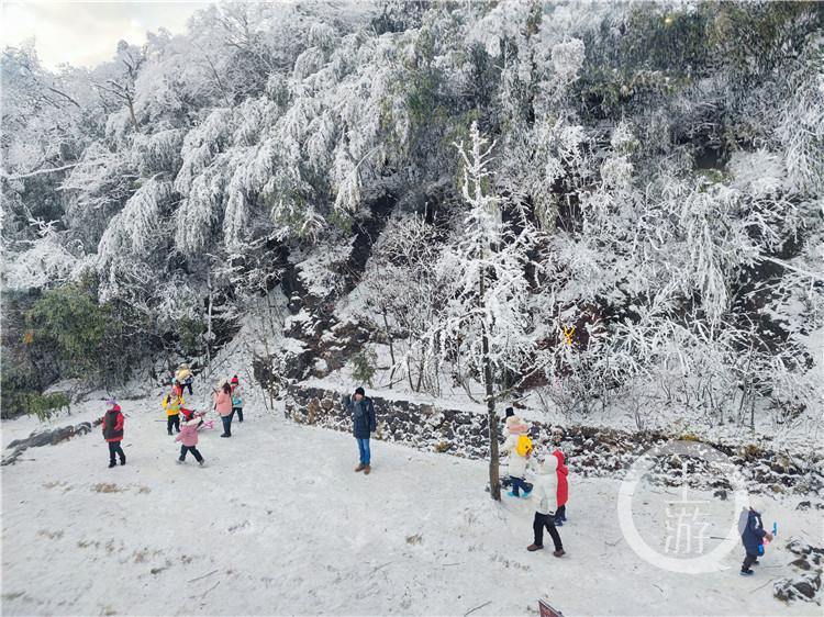 金佛山景区，景区供图(7369088)-20220102145140.jpg