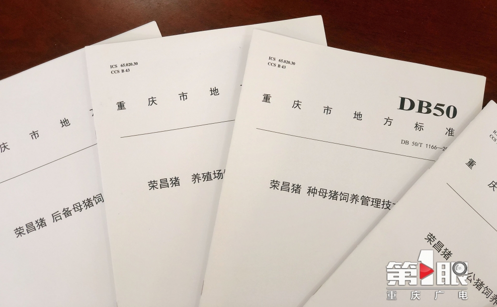 共享美好，共生价值：艺术为塑造社区共同体价值铺设有效路径——“亲邻自然”生态花园共建计划专家笔谈②