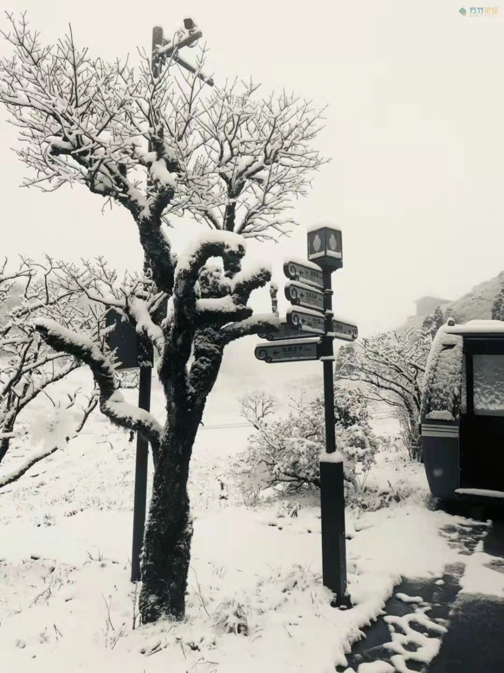 2016年佛山下雪的照片图片