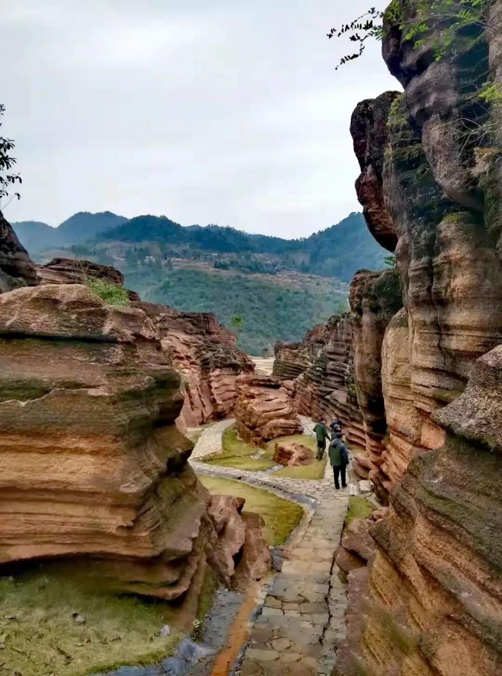 酉阳县红石林景区图片