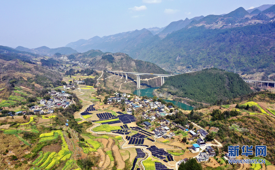 近日,在重庆市黔江区阿蓬江镇大坪村,阿蓬江碧波荡漾,成片的油菜花在