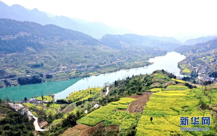 近日,在重庆市黔江区阿蓬江镇大坪村,阿蓬江碧波荡漾,成片的油菜花在