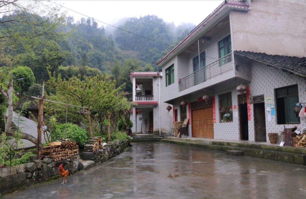 莆田市秀屿区秀山村图片