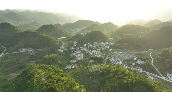 仲夏的巫溪县通城镇龙池村瓜果飘香,田间的青脆李挂满枝头,硕大的西瓜