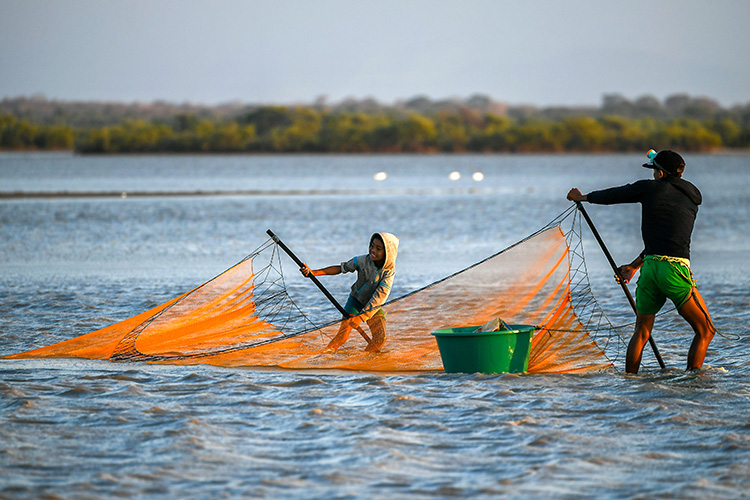 女渔民抵达环礁湖准备捕虾