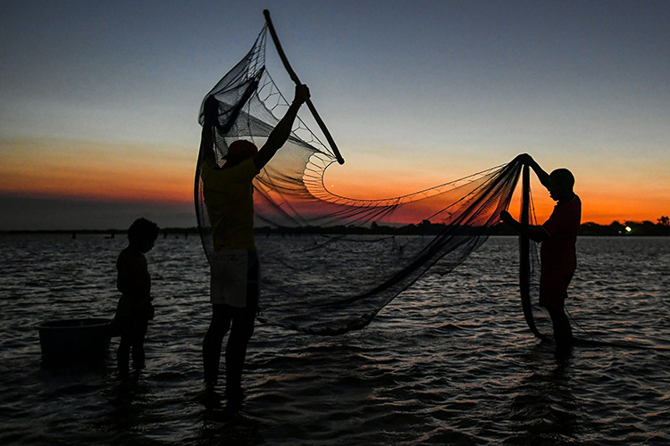 3月1日,哥伦比亚北部瓜希拉省,渔民在环礁湖边捕虾