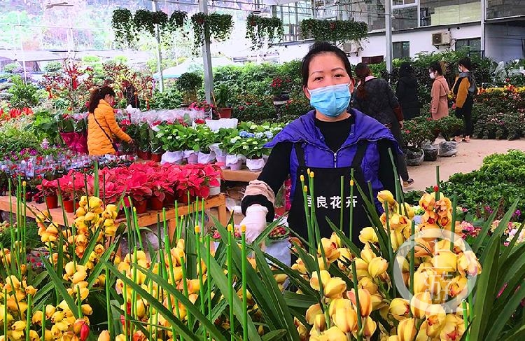 我市最大花卉批發市場望海花都恢復營業露天經營市場道路變花海