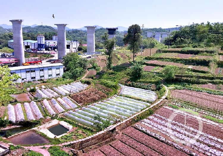 我市主城最后的城中村搬家百年农家老院子讲述时代变迁