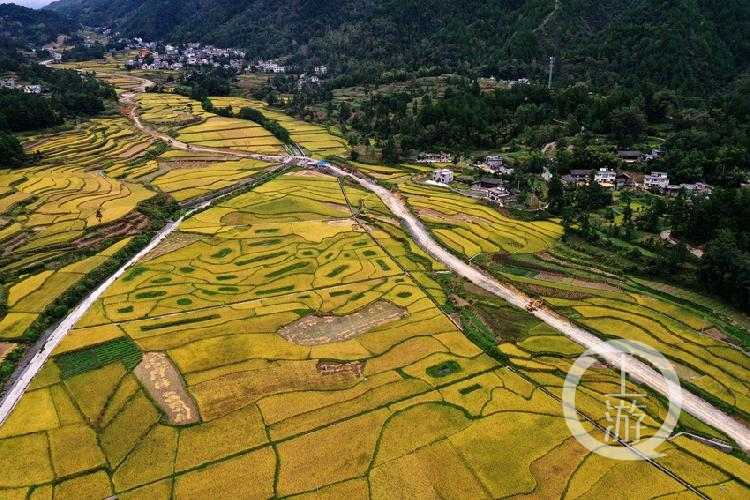 重庆市黔江区马喇镇最高海拔1800多米,因山谷中镶嵌着6000多亩平坦的