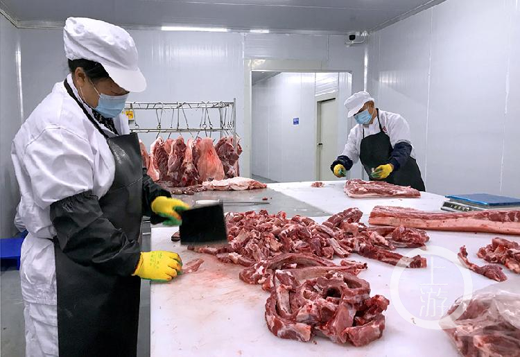 我市日产3万公斤冷鲜猪肉生产线投用 让市民吃上更加放心美味的猪肉