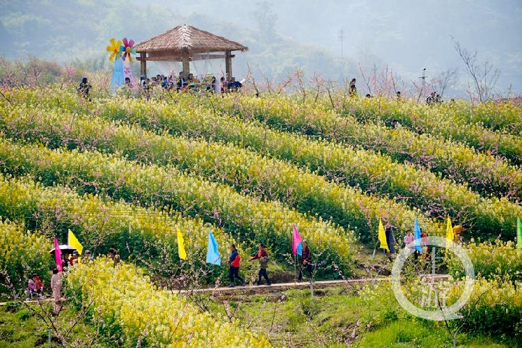 首屆三生三世桃花節開幕認養桃樹收穫驚喜