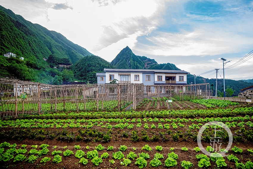 家有"微田园 乡村变公园