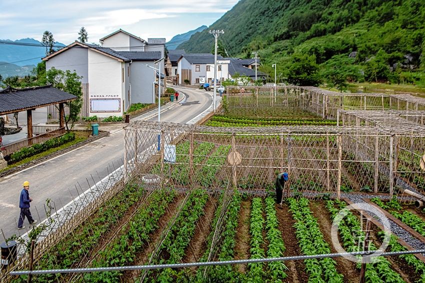 家有"微田园 乡村变公园