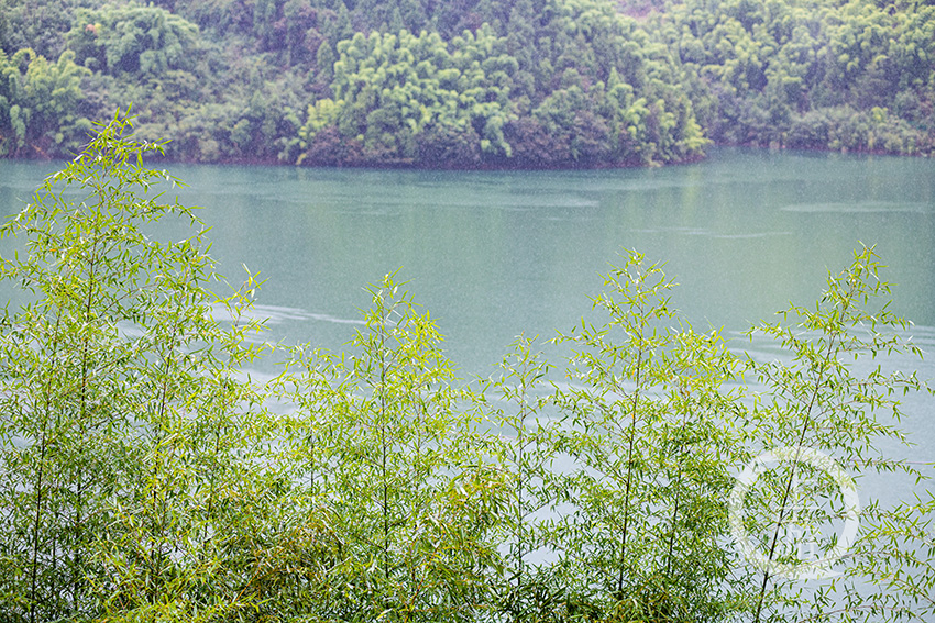 梁平百里竹海明月湖 秋雨时润,秋色渐浓