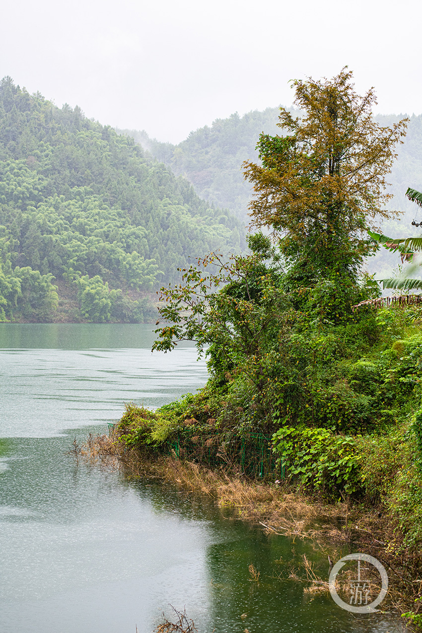 梁平百里竹海明月湖 秋雨时润,秋色渐浓