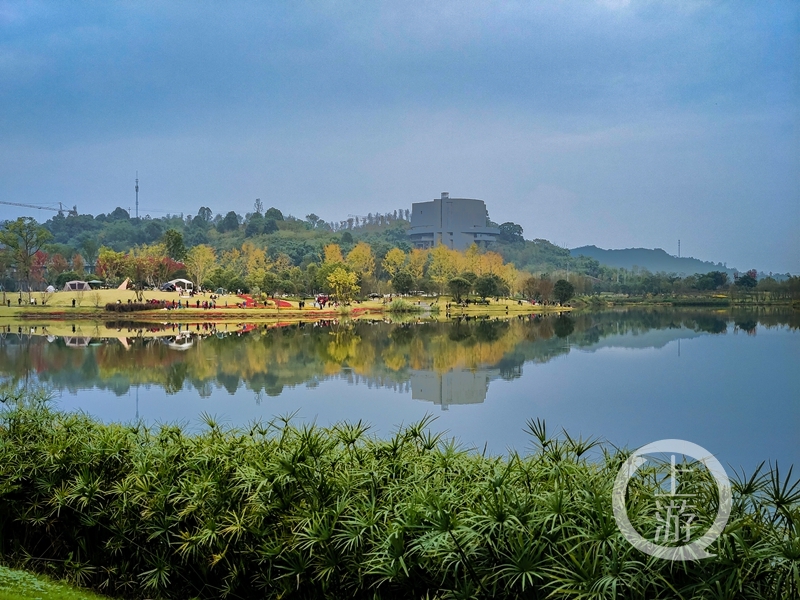 重庆明月湖有多大图片