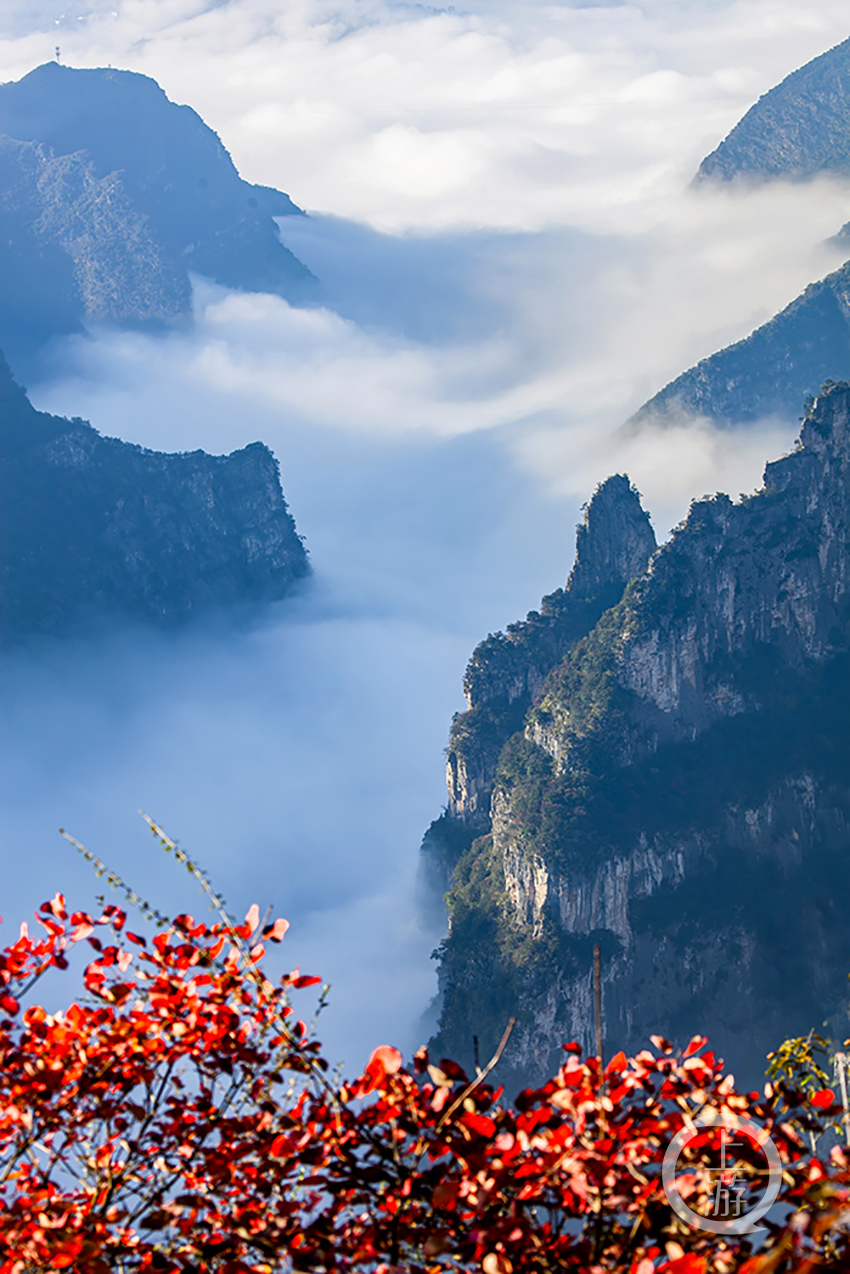 巫山云雨飞三峡红叶醉