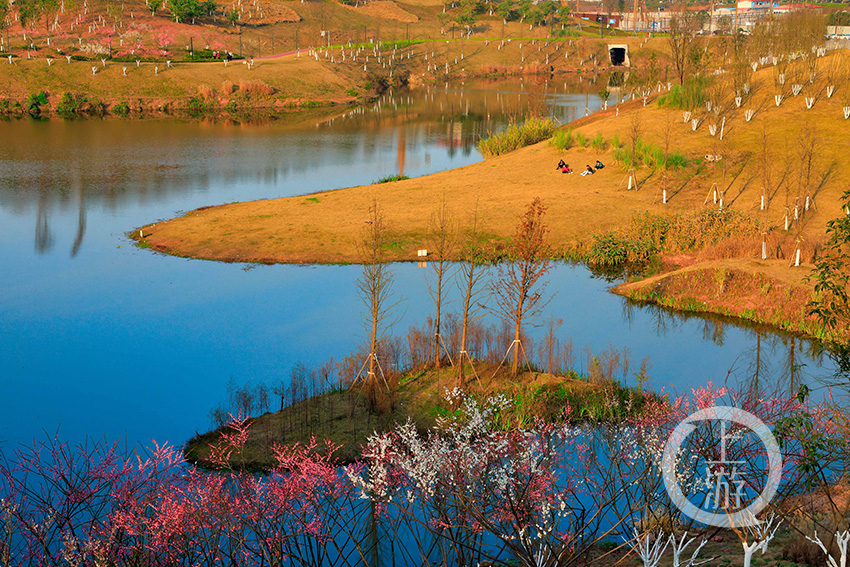 五云湖冬景如画