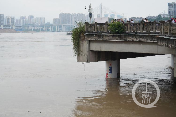 直击两江洪水丨12点半 磁器口的洪水涨至188米水位线