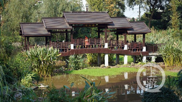 發現重慶之美最美公園獲獎項目後續報道沙坪公園給了我健康快樂