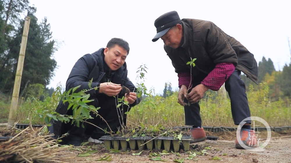 扶贫林业党员-让更多的青山绿水变成金山银山.mp4.00_02_51_03.Still004.jpg