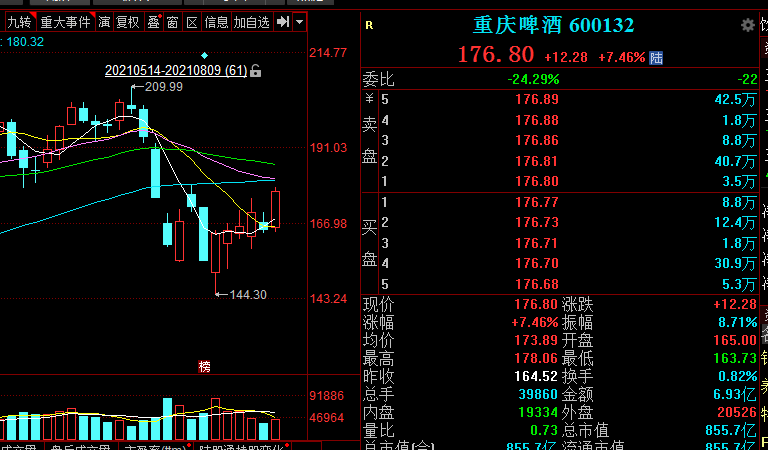 重庆啤酒股票图片
